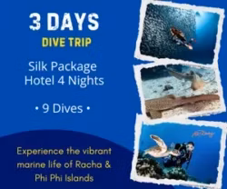 Dive Package