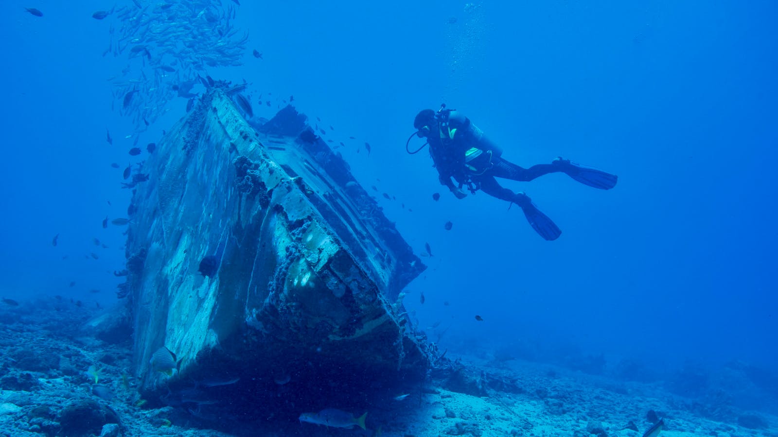 Wreck & Specialty Diving Courses in Bali