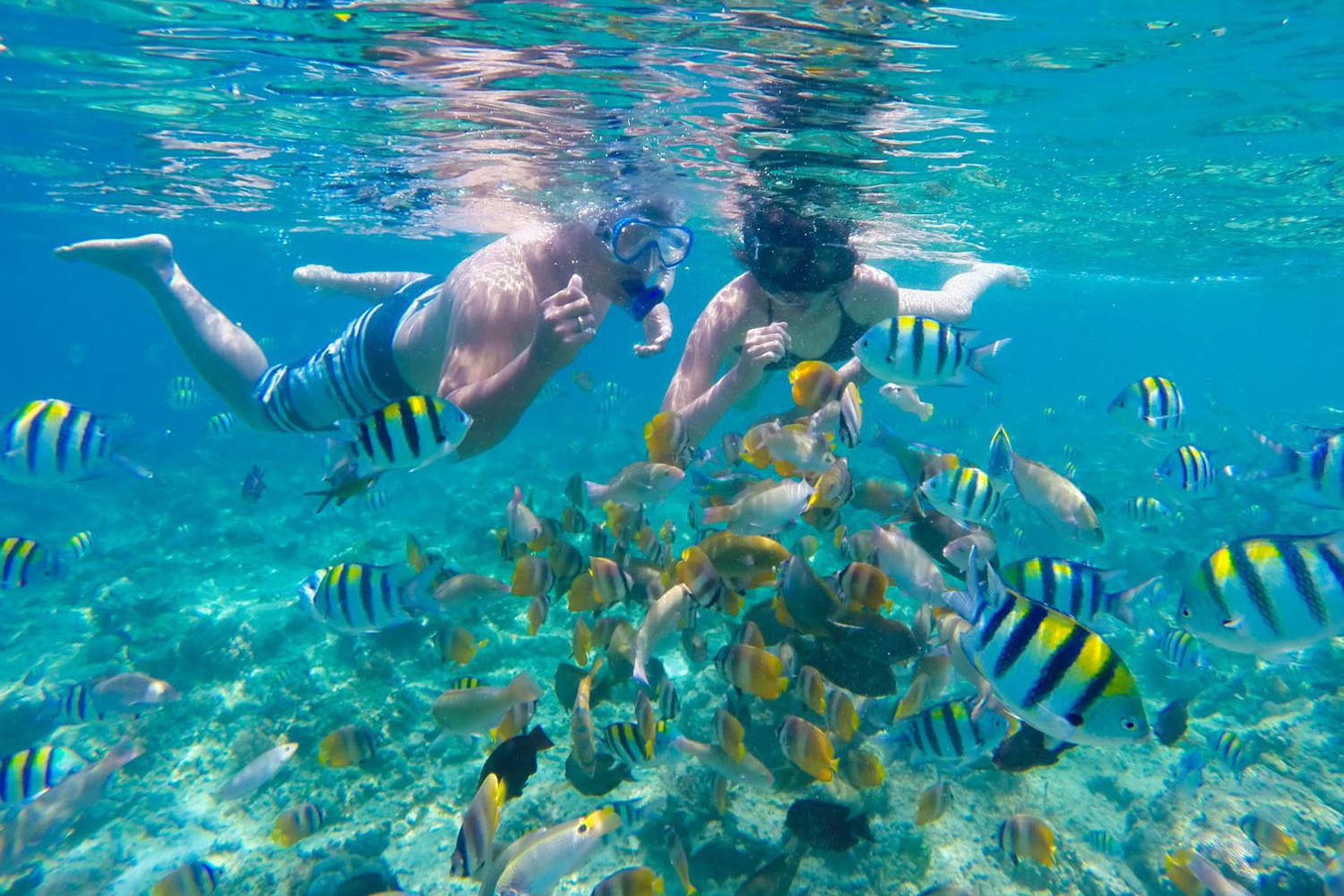 Shallow-water reef fish and snorkellers at Gili Nanggu, Southwest Lombok.