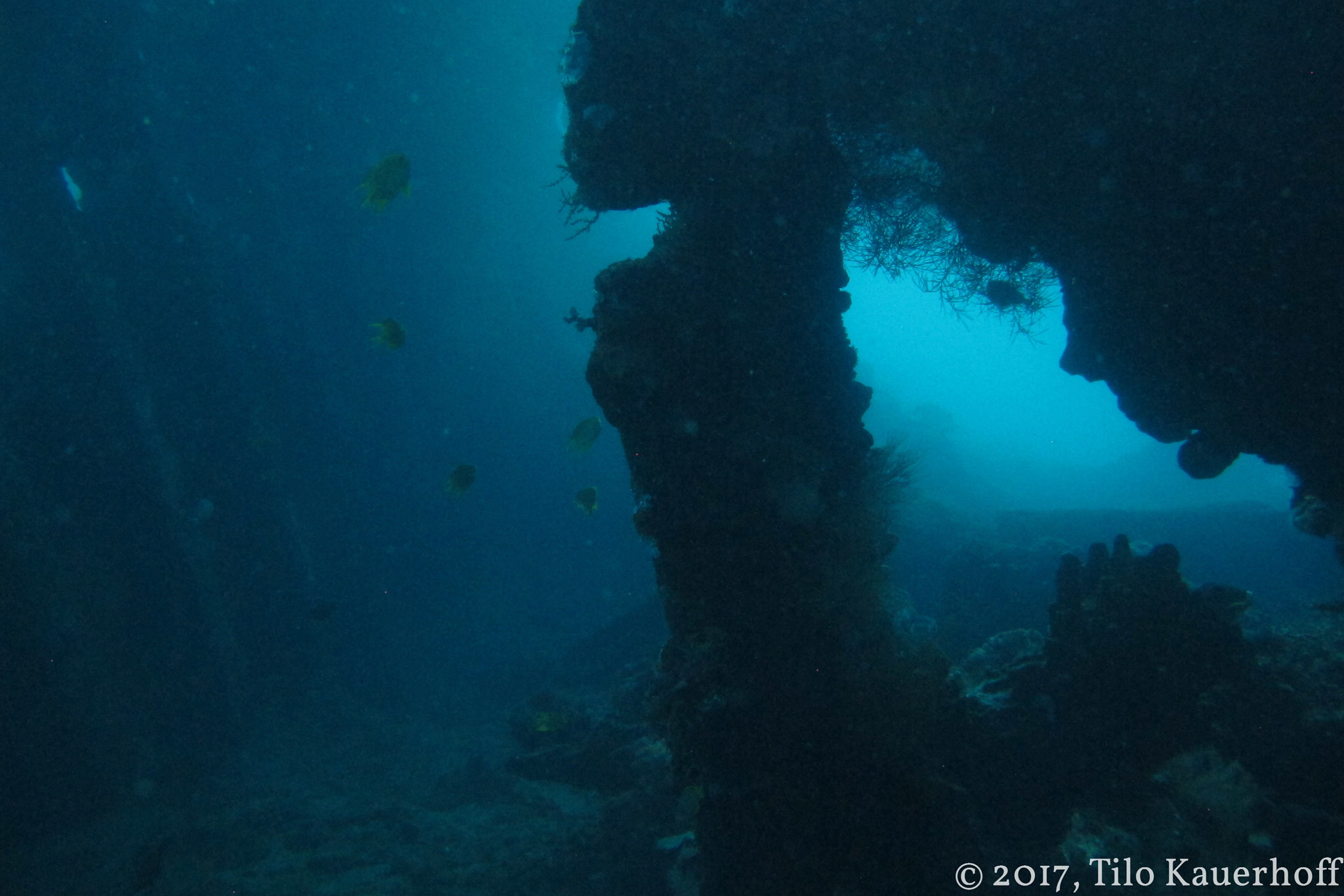View through the cargo compartment of the USAT Liberty wreck at Tulamben.